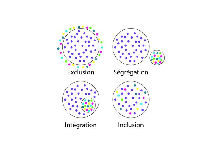 Intégration Versus Inclusion Deux Approches Très Différentes La Ligue De Lenseignement 4974