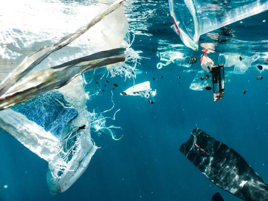 Photo de Naja Bertolt Jensen sur Unsplash ecocide pollution