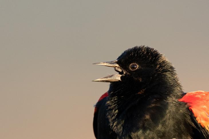 Photo de Matt Bango sur Unsplash