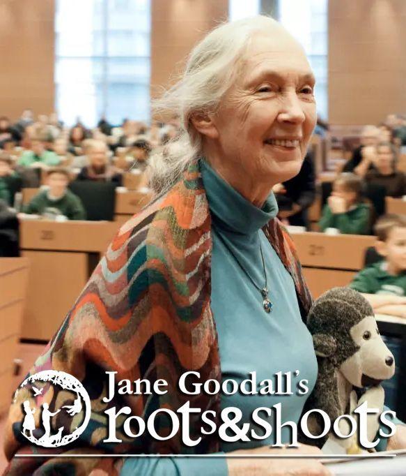 Roots and shoots