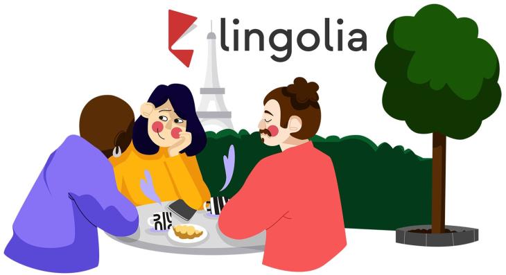 Logo du site lingolia.com