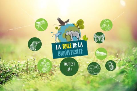 La toile de la biodiversité