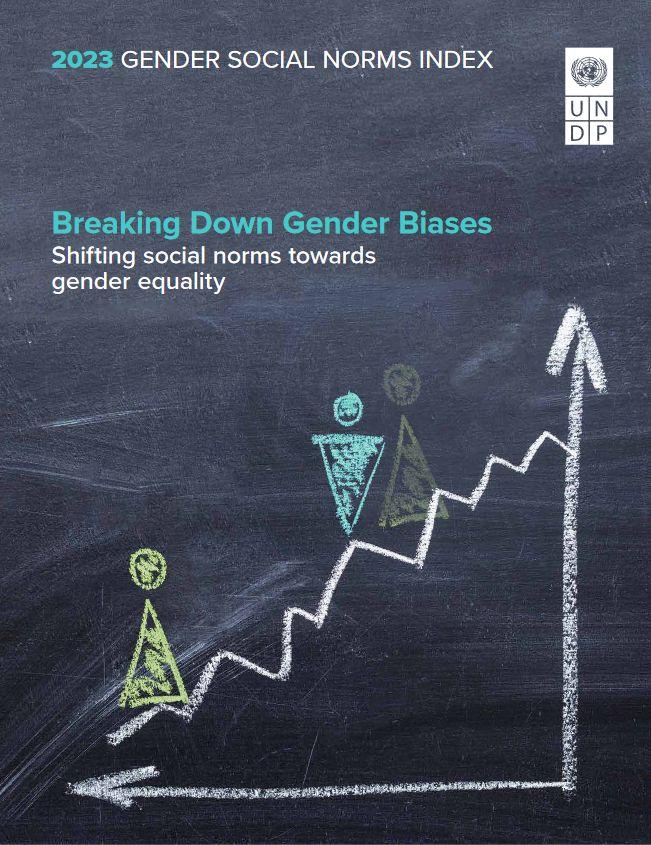 Gender social norms index 2023