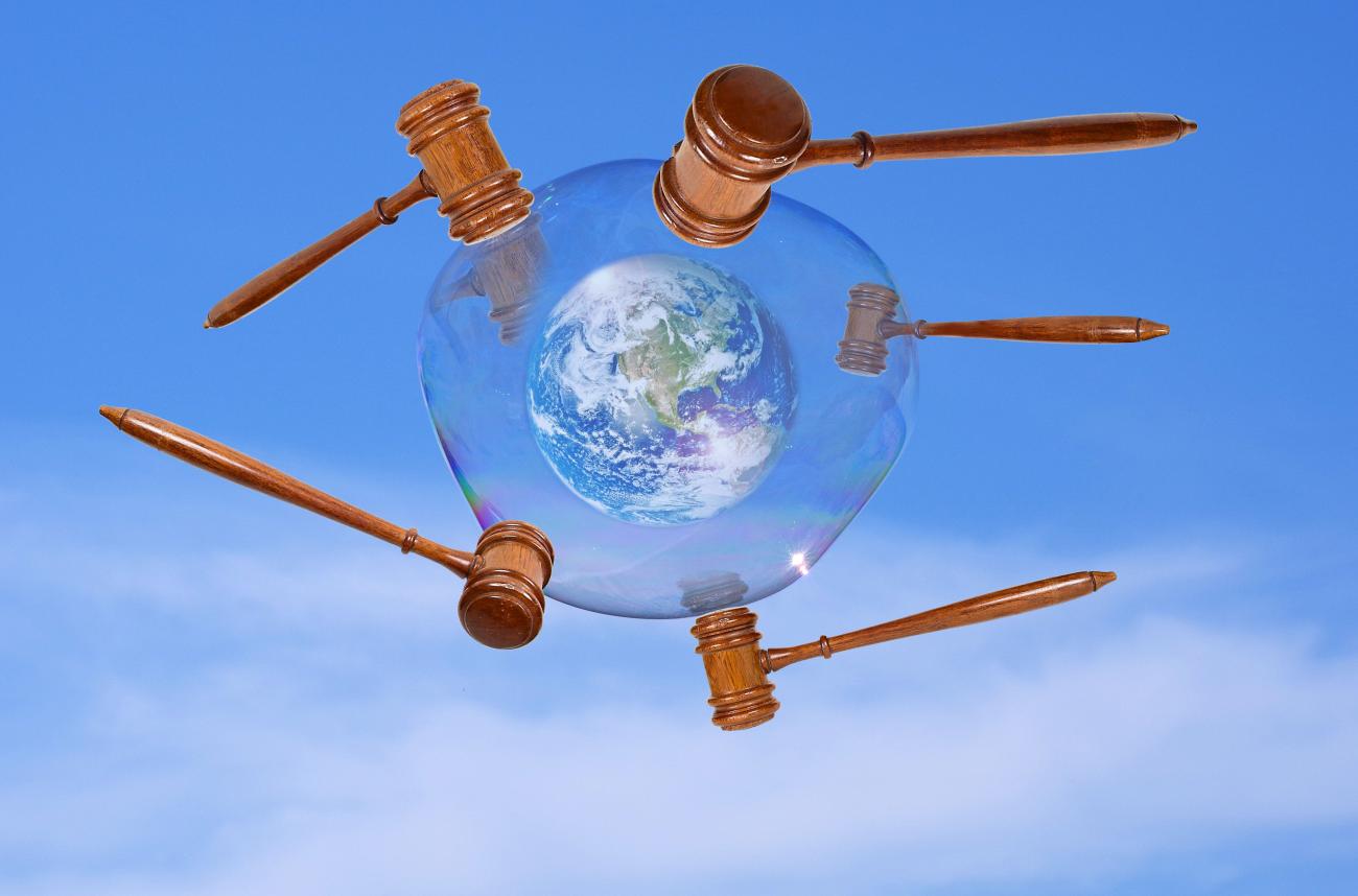 environnement loi
